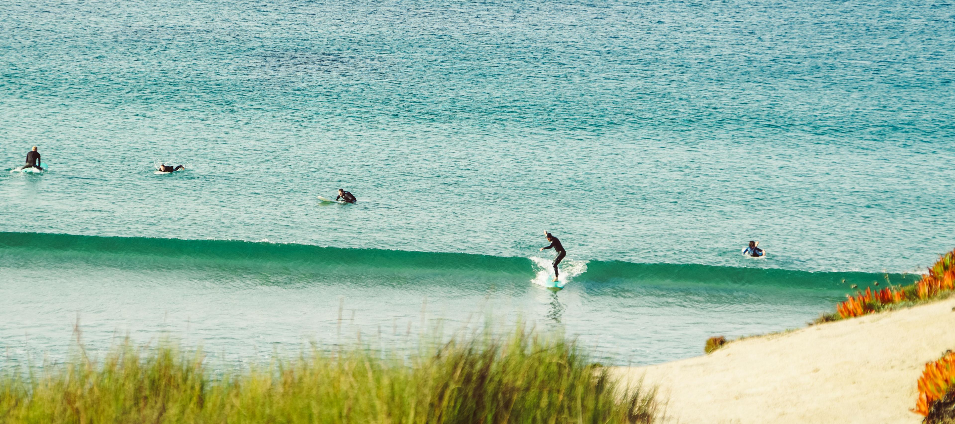 Surfare njuter av små gröna vågor, med sanddyner och gräs i förgrunden