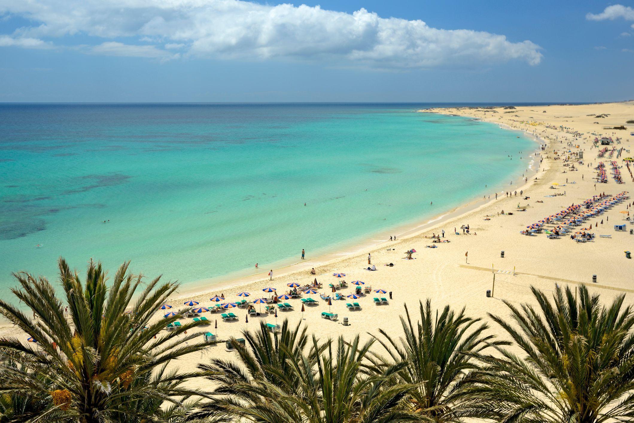 Strand på Fuerteventura med turkost vatten och palmer